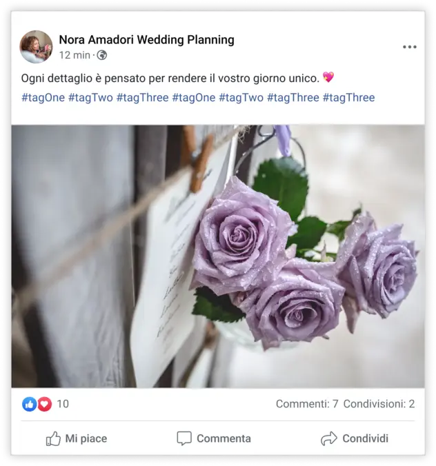 Nora Amadori Matrimoni Nora Amadori Matrimoni